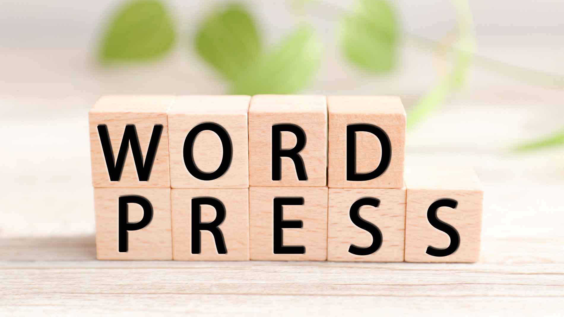 ワードプレス（Wordpress）によるweb制作代行承ります！